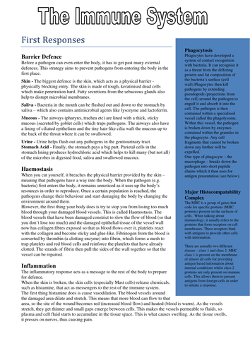 docx, 138.47 KB