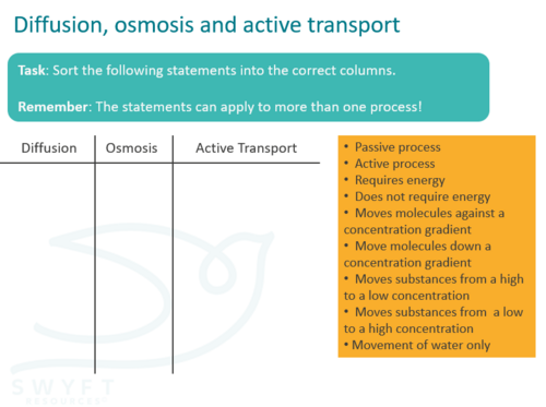 NEW AQA Trilogy GCSE (2016) Biology - Active Transport | Teaching Resources