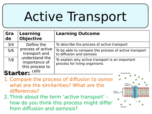 NEW AQA Trilogy GCSE (2016) Biology - Active Transport