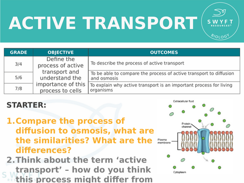 NEW AQA Trilogy GCSE (2016) Biology - Active Transport