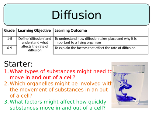 NEW AQA Trilogy GCSE (2016) Biology - Diffusion