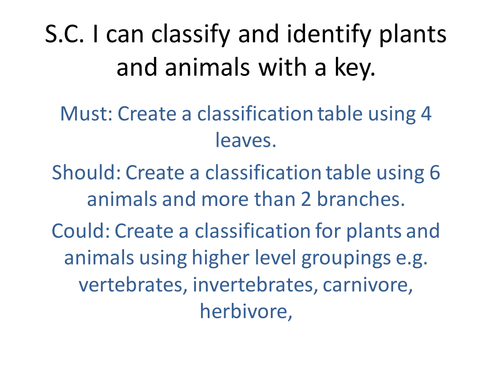 Science Lower Key Stage 2 Environments