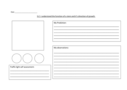 Science- Plants- Lower Key Stage 2- Year 3/4