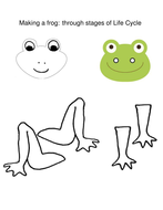 Life Cycle of a frog - Interactive Activities and Worksheets | Teaching ...