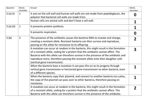 docx, 11.97 KB