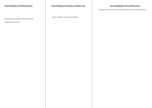 Plant Tissues and Organs - NEW AQA GCSE Spec | Teaching Resources