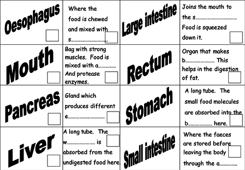 Animal Tissues and Organs - NEW GCSE Bio Spec | Teaching Resources