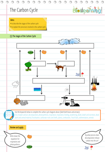 Carbon Cycle - Worksheet (KS3 / KS4) | Teaching Resources