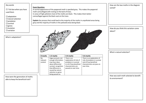 what are the 5 key elements of darwins theory of natural selection