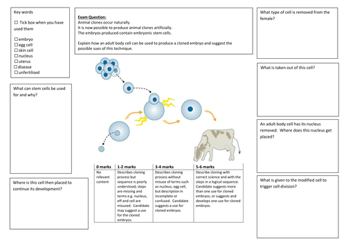 New AQA (9-1) GCSE Biology IVE:Adult Cell Cloning(BIO) and Genetic ...