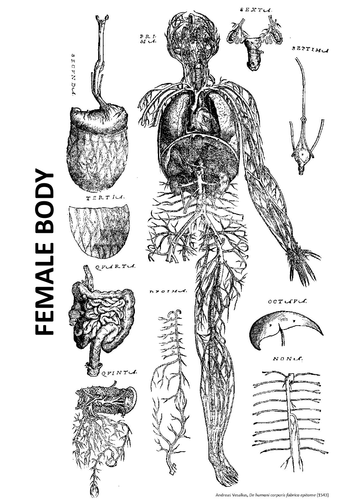 Andreas Vesalius: Father of Modern Anatomy | Teaching Resources