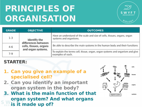 NEW AQA Trilogy GCSE (2016) Biology - Principles of organisation ...