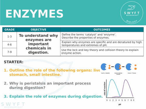 NEW AQA Trilogy GCSE (2016) - Enzymes