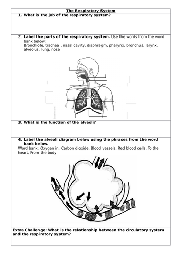 NEW AQA Trilogy GCSE (2016) Biology - Breathing & Gas Exchange