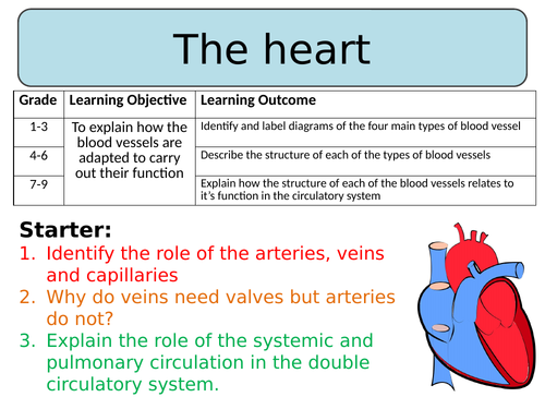 NEW AQA Trilogy GCSE (2016) Biology - The heart