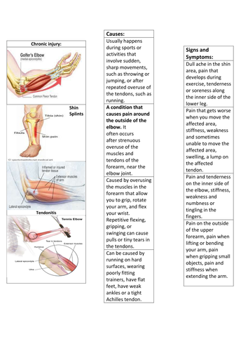 Reducing the risk of sports injuries LO3 lesson bundle | Teaching Resources