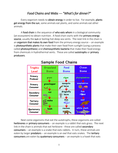 New AQA (9-1) GCSE Biology Ecology - Organisation of an Ecosystem (4.7. ...