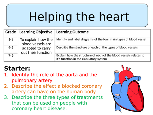 NEW AQA Trilogy GCSE (2016) Biology - Helping the heart