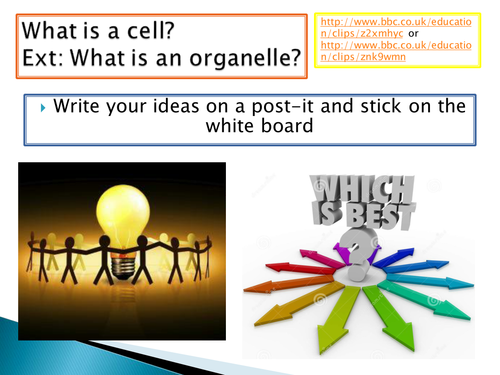 NEW SPEC GCSE - B1 - Plant and animal cells