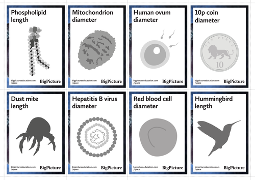 NEW SPEC GCSE - B1 - Prokaryotic cells