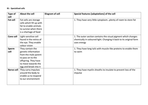 NEW SPEC GCSE - B1 - Specialised cells - engaging, outstanding lesson pack