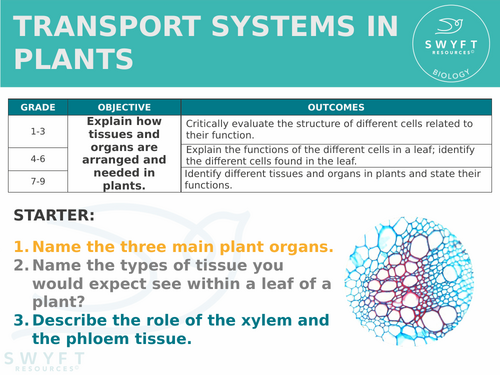 NEW AQA Trilogy GCSE (2016) Biology - Transport in plants