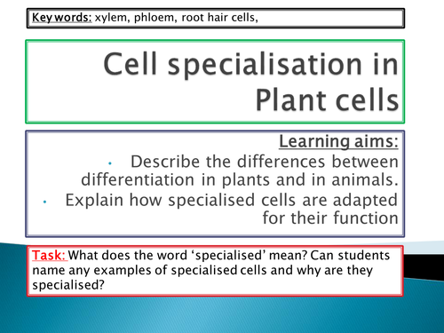 NEW GCSE SPEC - B1 - Specialised plant cells | Teaching Resources