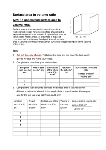 docx, 144.34 KB