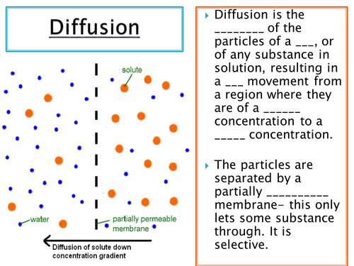 NEW SPEC GCSE - B1 - Osmosis