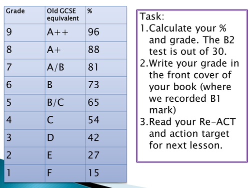 GCSE NEW SPEC - B3 - Organisation & digestive system  - L2 the small intestine