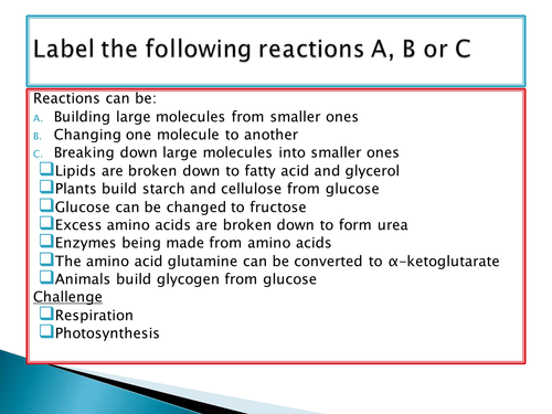 GCSE NEW SPEC - B3 - Organisation & digestive system - Lesson 5 - factors affecting enzymes