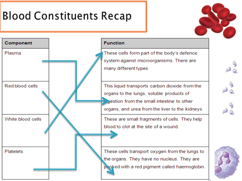 GCSE NEW SPEC - B4 - Plants and animals - Lesson 2 - blood vessels