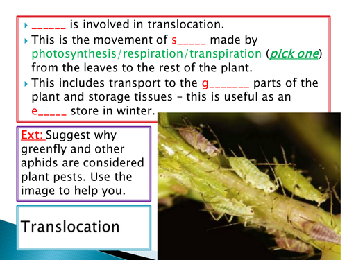 GCSE NEW SPEC - B4 - Plants and animals - evaporation transpiration stomata lesson