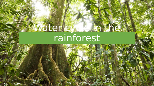 A Level; case study of a rainforest - water cycle in the Amazon