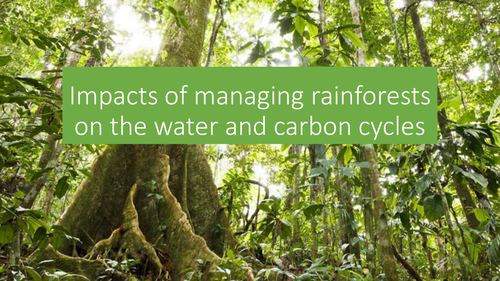 A Level; case study of a rainforest - impacts of management on water ...