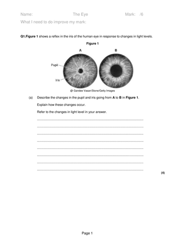The Eye (Biology Only) - New AQA Biology GCSE | Teaching Resources