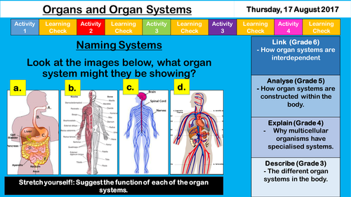 Organs and Systems - NEW KS3 AQA Cells