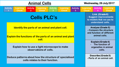 Animal Cells - NEW AQA KS3