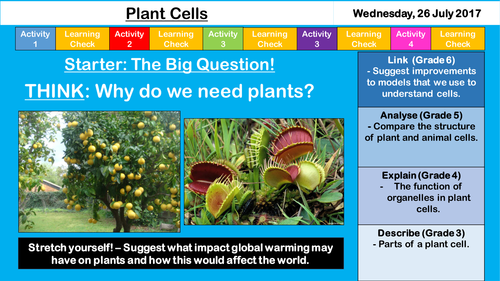 Plant Cells - NEW AQA KS3