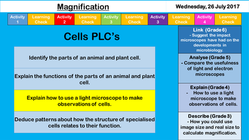 Magnification - NEW AQA KS3