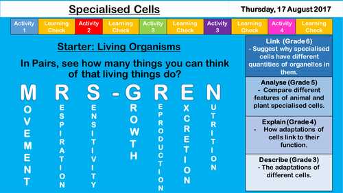 Specialised Cells - NEW AQA KS3