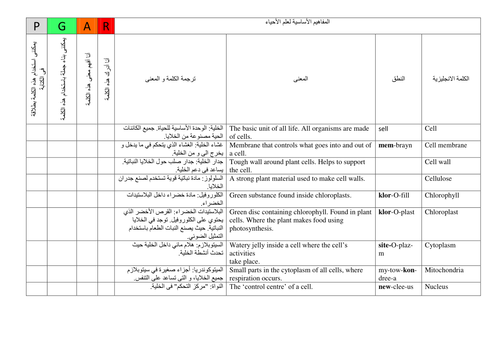 docx, 108.31 KB