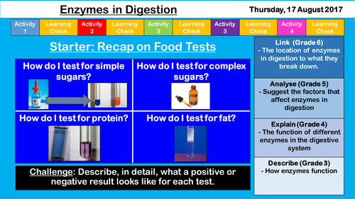 Factors affecting Enzymes - NEW AQA KS3/GCSE