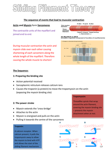 docx, 313.14 KB