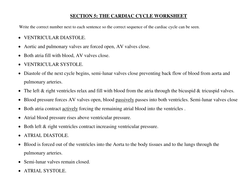 AS OCR ANATOMY & PHYSIOLOGY CARDIOVASCULAR WORKSHEETS (NEW SPEC 2016