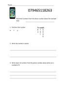 White rose partitioning year 2 picture