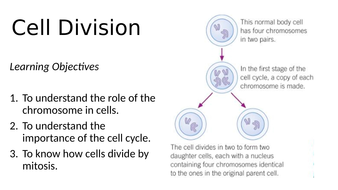 B2.1 Cell division NEW AQA | Teaching Resources