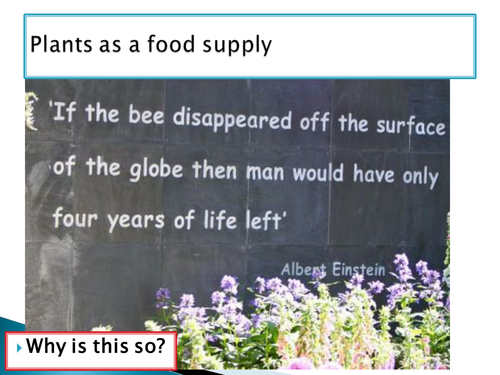 GCSE NEW SPEC - B5 - Communicable disease - lesson on plant diseases - BIOLOGY