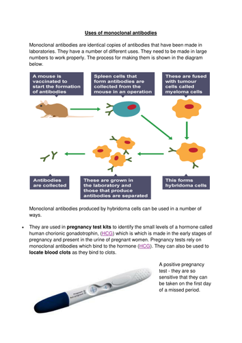 GCSE NEW SPEC - B6 - Preventing & treating disease - using MABs - monoclonal antibodies BIOLOGY