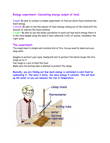 energy from burning food experiment